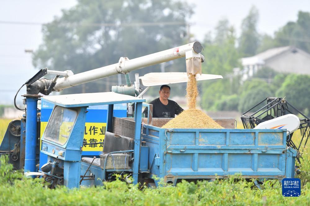 水果游戏机破解方法